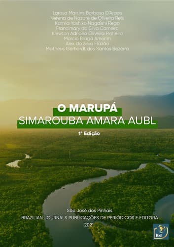 O Marupá - Simarouba amara Aubl