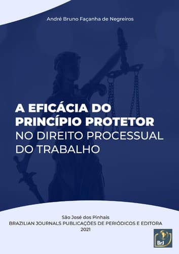 A eficácia do princípio protetor no direito processual do trabalho