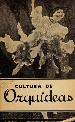 Cultura de orquideas