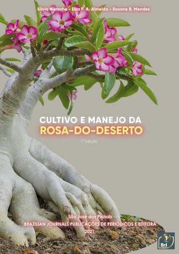 Cultivo e Manejo da Rosa-do-Deserto