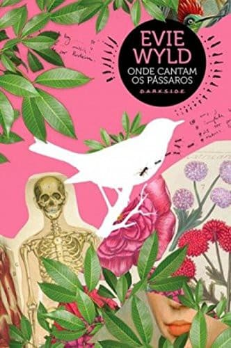 Onde Cantam os Pássaros: Desvende o mistério