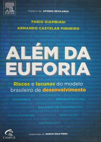 Além da euforia: riscos e lacunas do modelo brasileiro de desenvolvimento