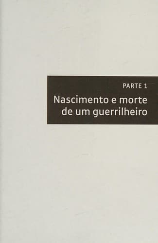 Cova 312: a longa jornada de uma repórter para descobrir o destino de um guerrilheiro, derrubar uma farsa e mudar um capítulo da história do Brasil