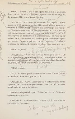 Diotima e as outras vozes