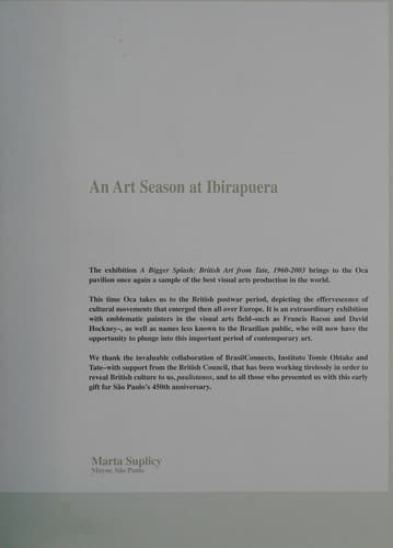Bigger splash: arte britânica da Tate 1960-2003