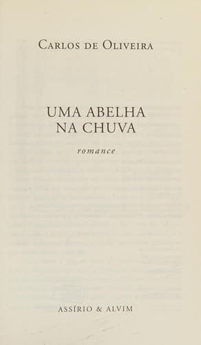 Uma abelha na chuva