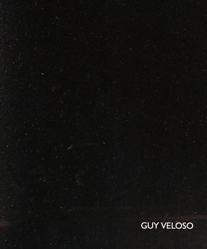 Guy Veloso