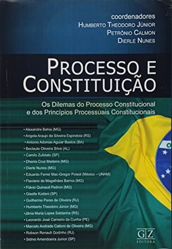 Processo e constituição: os dilemas do processo constitucional e dos princípios processuais Constitucionais