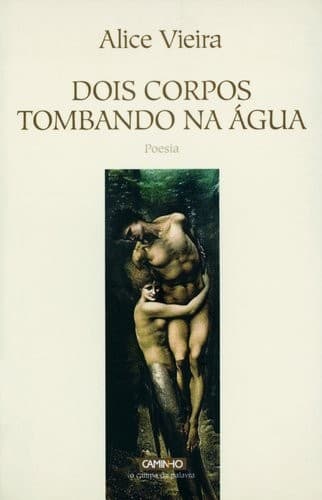 Dois corpos tombando na água: poesia