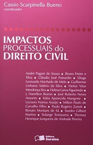 Dias pássaros: romance