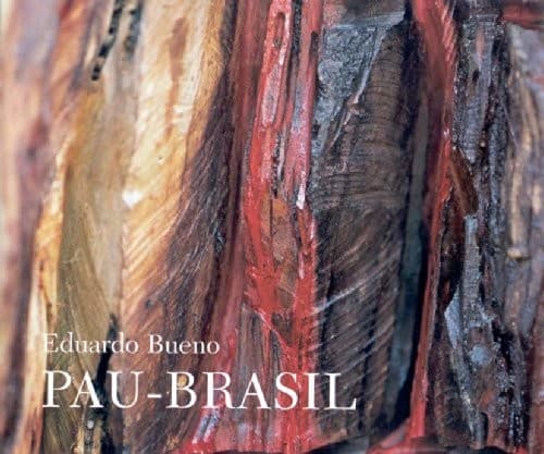 Pau-brasil