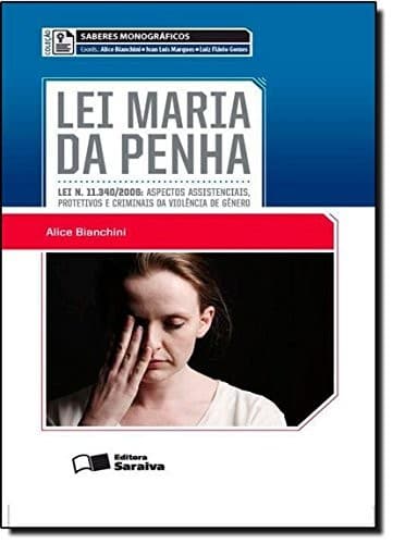 Lei Maria da Penha: aspectos criminais e políticas públicas de enfrentamento à violência de gênero
