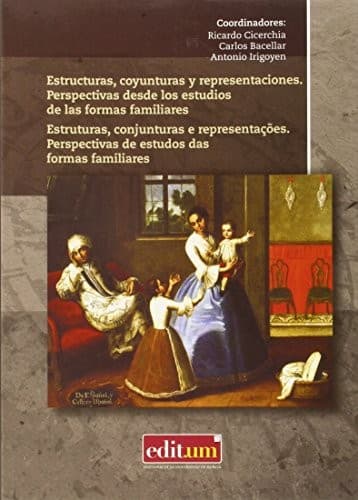 Estructuras, Coyunturas y Representaciones. Perspectivas desde los Estudios de las Formas Familiares. Estruturas, Conjunturas e Representaçoes. Perspectivas de Estudos Das Formas Familiares