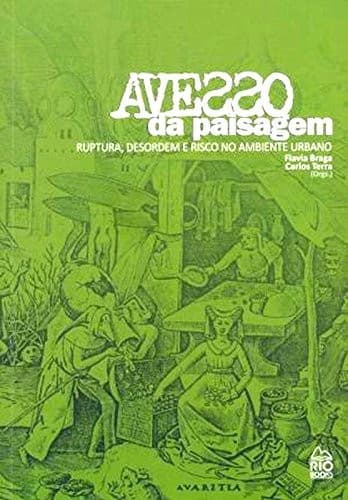 Avesso da paisagem: ruptura, desordem e risco no ambiente urbano