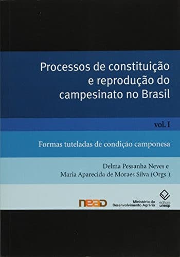Processos de constituição e reprodução do campesinato no Brasil