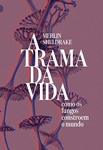 A trama da vida: como os fungos constroem o mundo