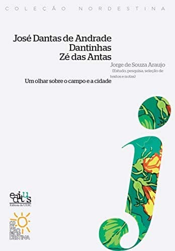 José Dantas de Andrade, Dantinhas, Zé das Antas: um olhar sobre o campo e a cidade