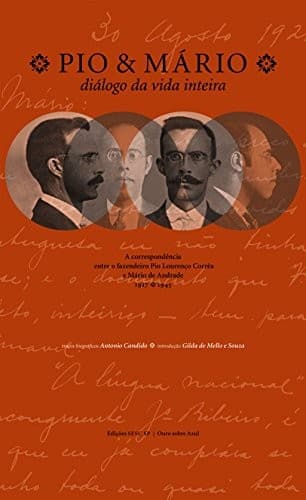 Pio & Mário: diálogo da vida inteira : a correspondência entre o fazendeiro Pio Lourenço Corrêa e Mário de Andrade, 1917-1945
