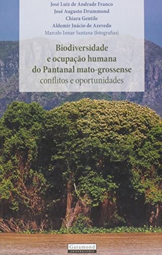 Metrópole do Rio e projeto nacional: uma estratégia de desenvolvimento a partir de complexos e centralidades no território