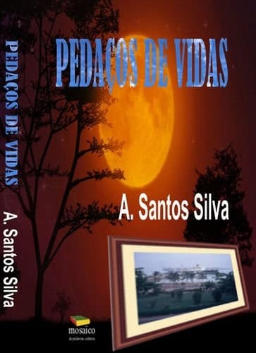 Pedaços de vidas