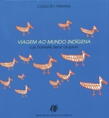 Viagem ao mundo indígena