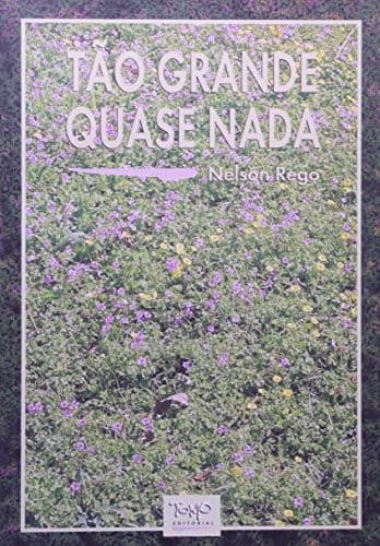 Tao grande quase nada. Romance.