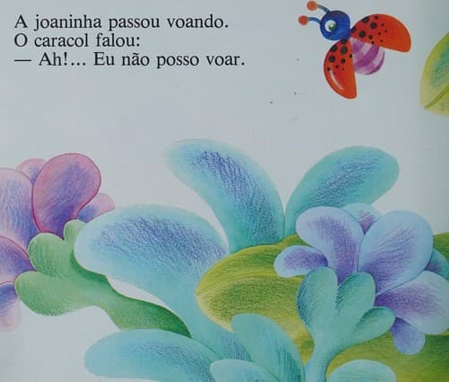 Caracol, O