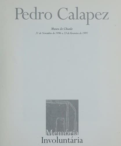 Pedro Calapez.