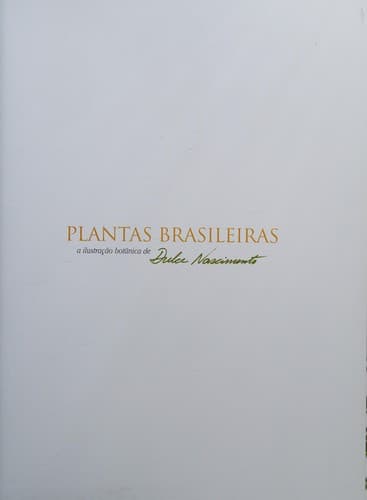 Plantas brasileiras: a ilustração botânica de Dulce Nascimento