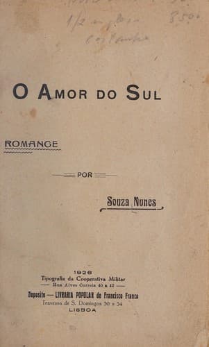 O amor do sul: romance