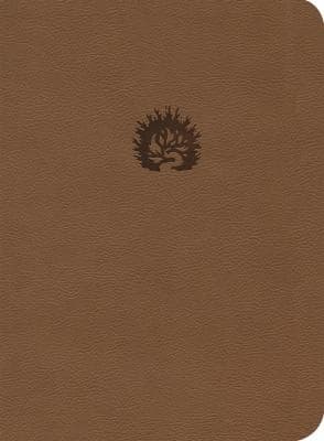 ARA a Bíblia de Estudo Da Fé Reformada, Capa Luxo, Marrom, Estojo, Portuguese Edition
