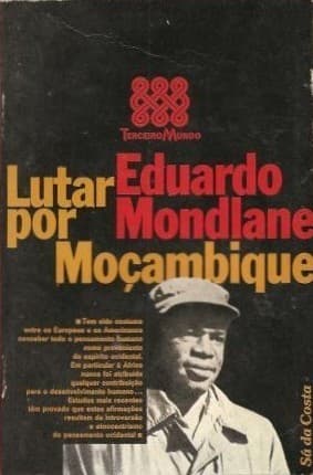Lutar por Moçambique