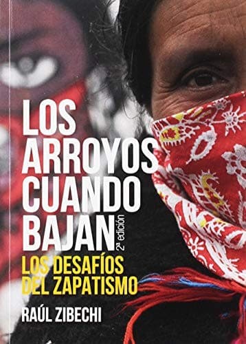 Los arroyos cuando bajan: Los desafíos del zapatismo