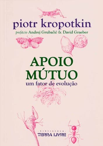 Apoio Mútuo: um fator de evolução