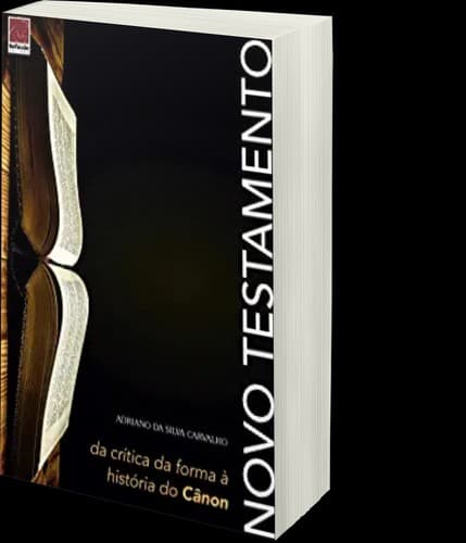 Novo Testamento da crítica da forma à história do cânon