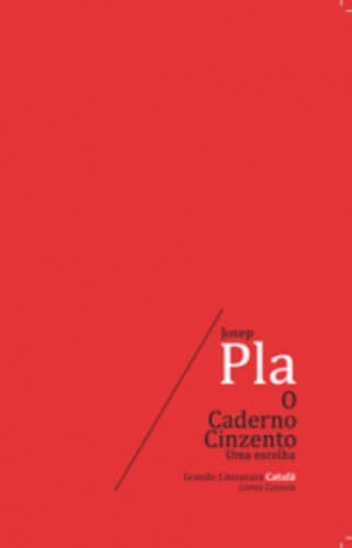 O Caderno Cinzento: Uma escolha
