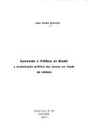 Juventude e política no Brasil: a socialização política dos jovens na virada do milênio