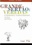 Grande sertão--veredas: o romance transformado : semiótica da construção do roteiro televisivo