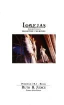 Igrejas neogóticas =: Neogothic churches
