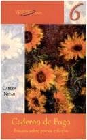 Caderno de Fogo: Ensaios Sobre Poesia e Ficção