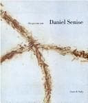 Daniel Senise: the piano factory