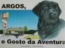 Argos, O Gosto da Aventura (Argos, the City Dog)
