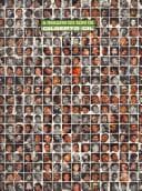 A imagem do som de Gilberto Gil: 80 composições de Gilberto Gil interpretadas por 80 artistas contemporâneos