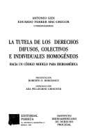La tutela de los derechos difusos, colectivos e individuales homogéneos: hacia un código modelo para Iberoamérica