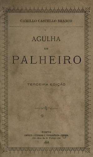 Agulha em palheiro