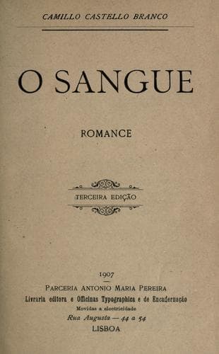 O sangue: romance