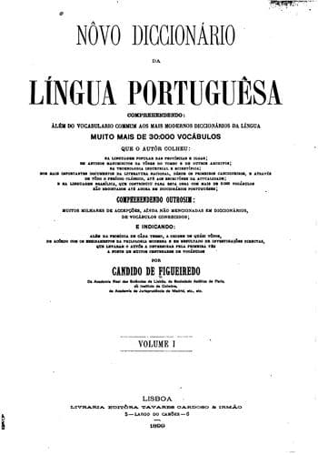 Novo diccionário da língua portuguesa comprehendendo: além do vocabulário ...
