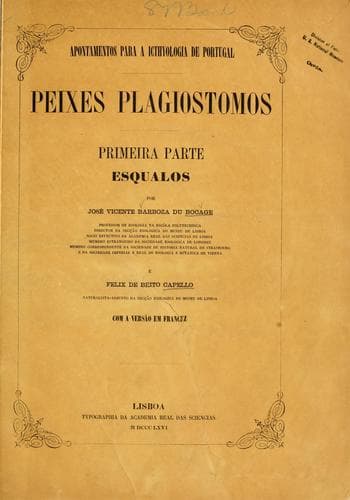 Peixes Plagiostomos.