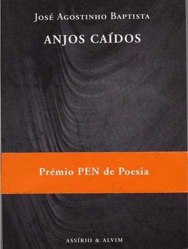 ANJOS CAÍDOS