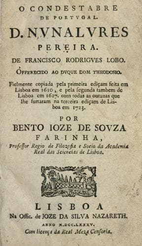 O condestabre de Portugal, D. Nunalvres Pereira